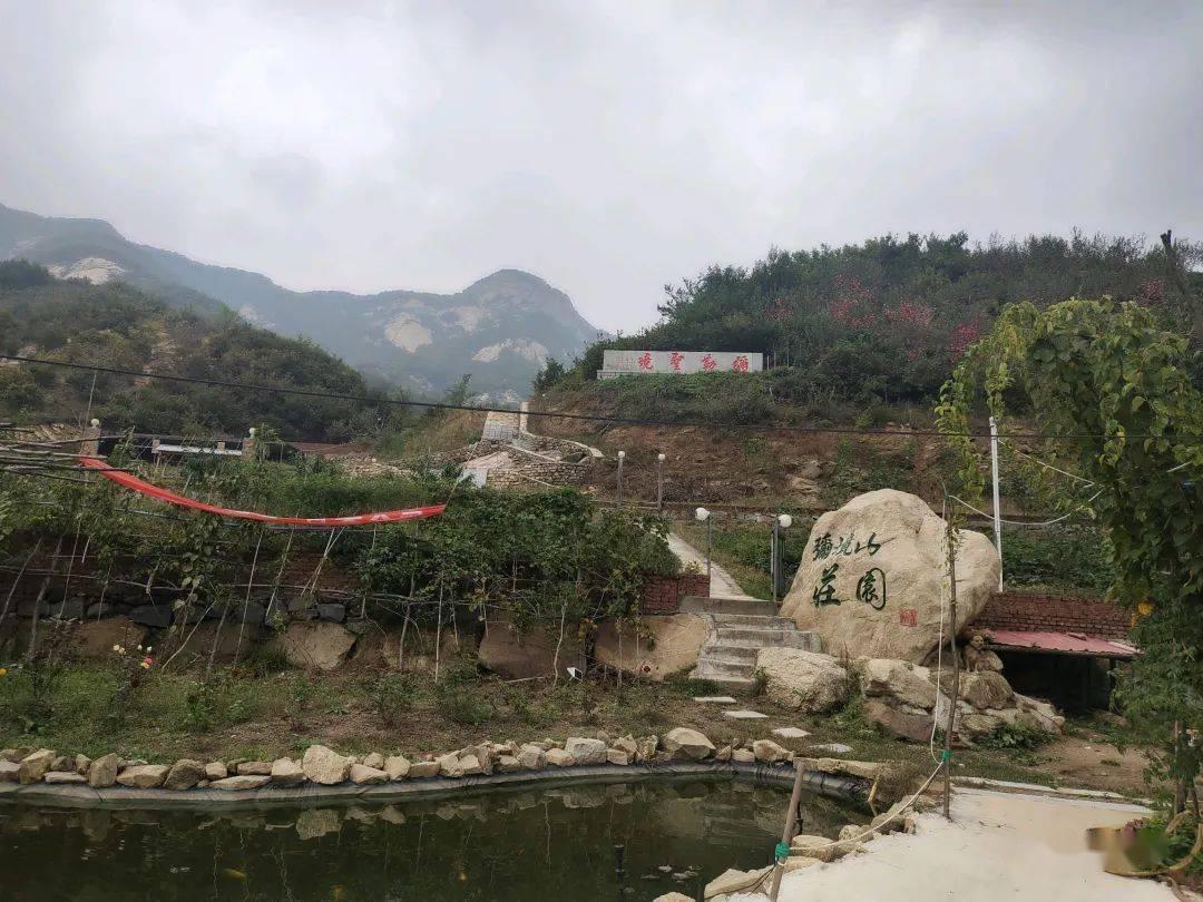 泰拉瑞亚