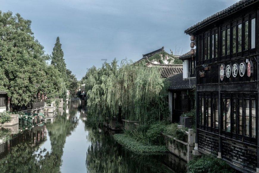 凯特住院,威廉照顾妻儿反挨骂!查尔斯手术,哈里为领奖不回家